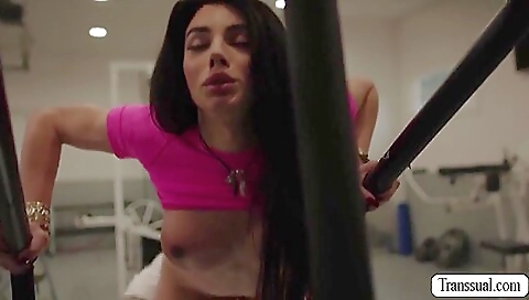 Bald dude in the gym is rimming his busty brunette partner